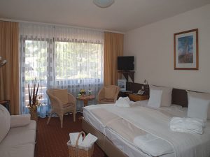 Ferien- und Wellness-Hotel Schwarzwälder Hof