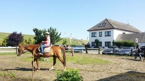 Kurhotel Strandhof – Nordseebad Tossens