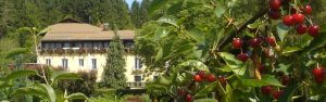 Schlank-Schlemmer Hotel Kürschner